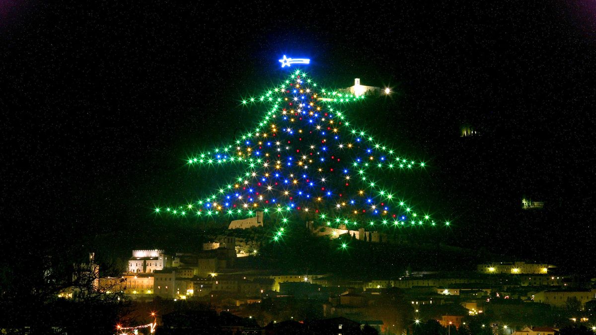 Największa choinka na świecie ma ponad 650 metrów wysokości 1