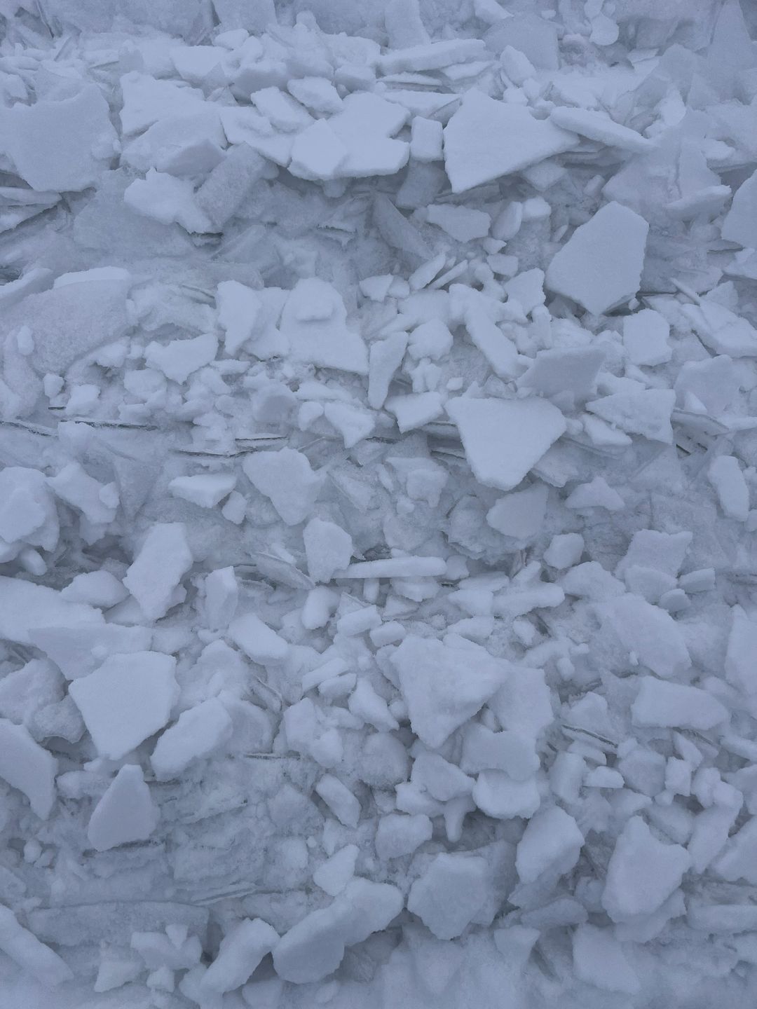 Oto efekty zimowych prac na polu.