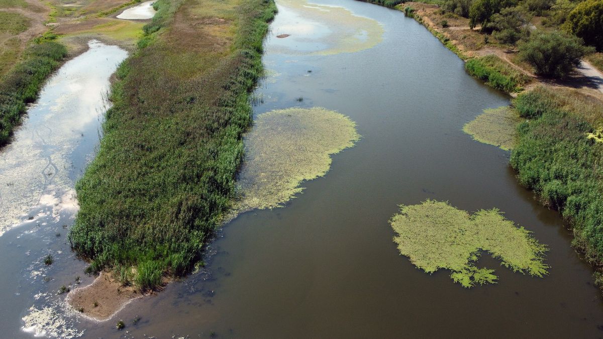 Czelin, 09.08.2022. Niski stan Odry, 9 bm. w miejscowości Czelin. Na rzece tworzą się łachy przez co ruch barek został wstrzymany. (sko) PAP/Marcin Bielecki