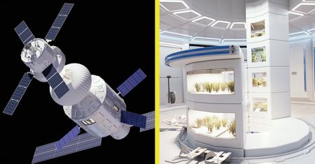 Pobyt w kosmosie rujnuje zdrowie. Airbus ma jednak pewien pomysł