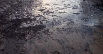 Tragedia w gminie Ćmielów