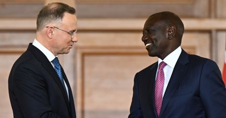 Polska podąży drogą Chin w Afryce? Od soft power do handlu bronią. "Hit eksportowy"