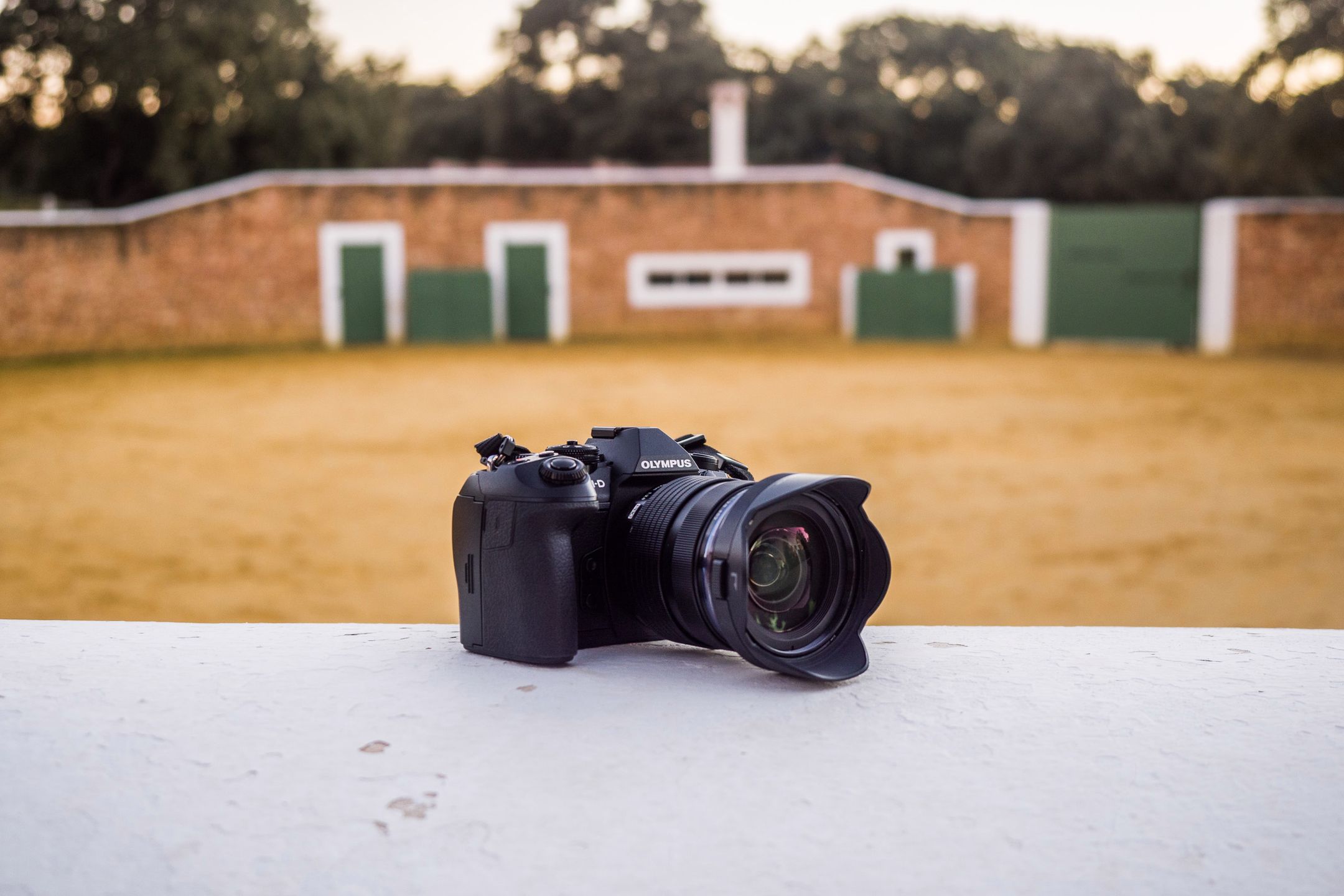 Olympus OM-D E-M1 Mark II - najszybszy na rynku [test] 239
