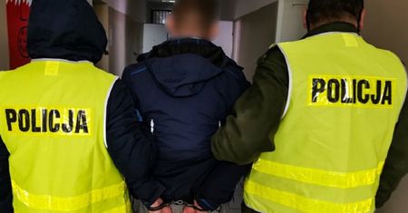 Wyrzucili psa z ósmego piętra, bo wskoczył na stół