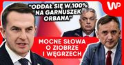 Azyl dla Ziobry. Rzecznik rządu bez litości: Stał się pośmiewiskiem