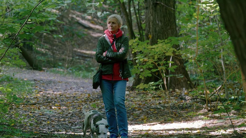 fot. Silviu on the street from Pixabay