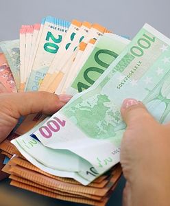 Szukają Polaków do pracy. Płacą 60 zł za godzinę. Setki chętnych