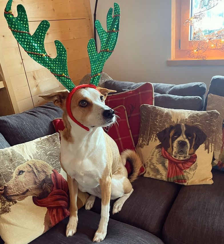 Tak mieszkają Aleksandra Kwaśniewska i Kuba Badach