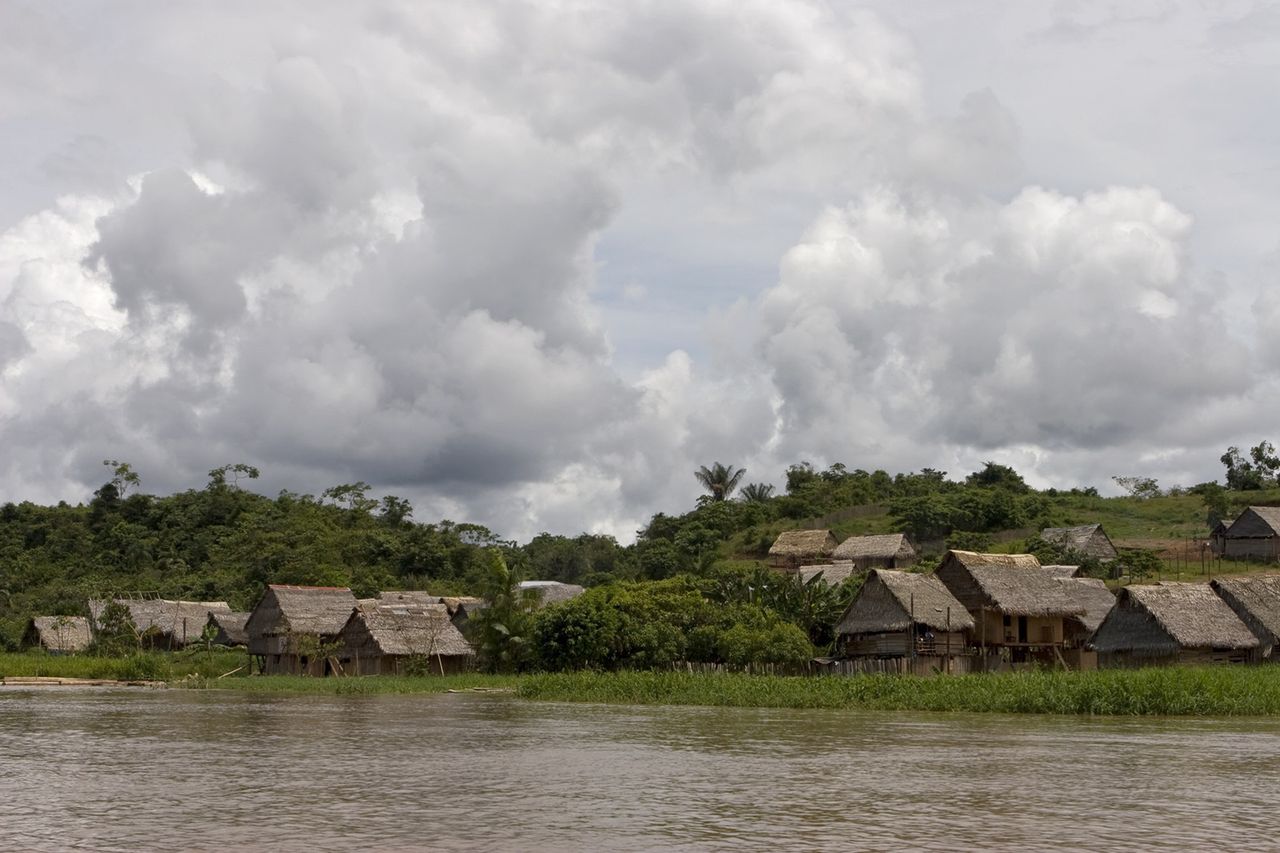 An extraordinary discovery in the Amazon forests