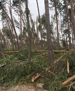 Łódź: Ruszył proces ws. śmierci dwóch harcerek podczas nawałnicy