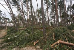 Łódź: Ruszył proces ws. śmierci dwóch harcerek podczas nawałnicy