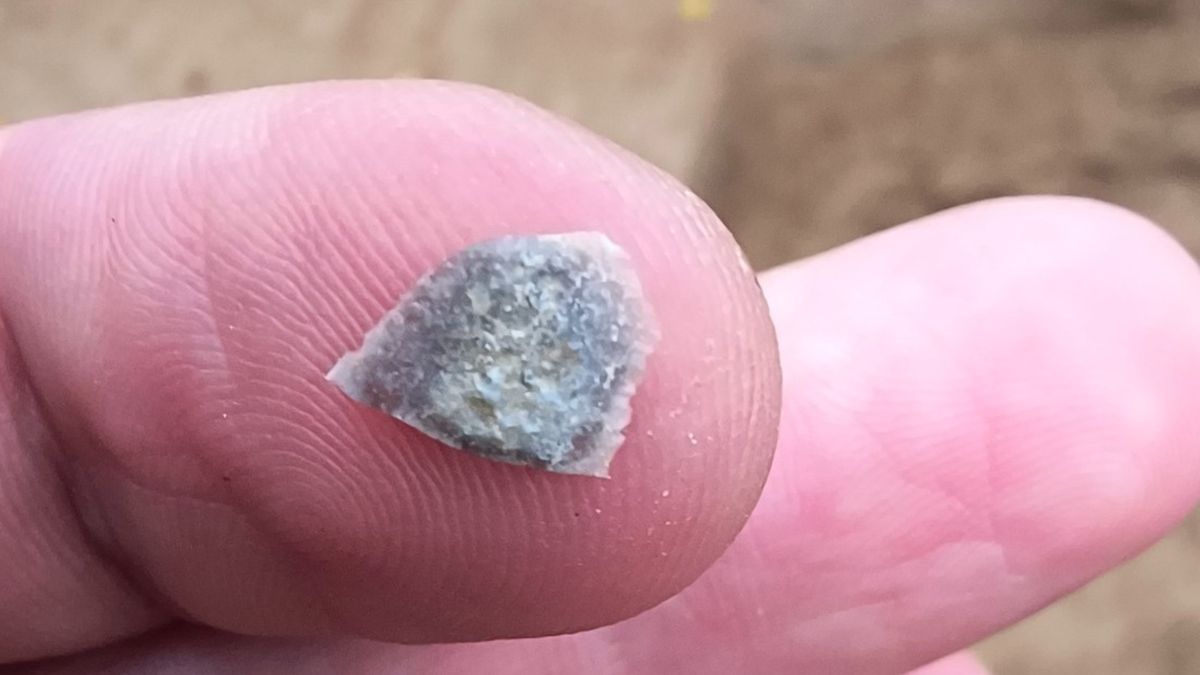 Archeolodzy odnaleźli prawdziwe skarby w grobie żołnierza