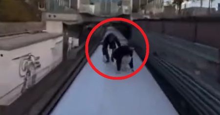 Zginął z kolegą na dachu metra. To zrobiła rodzina