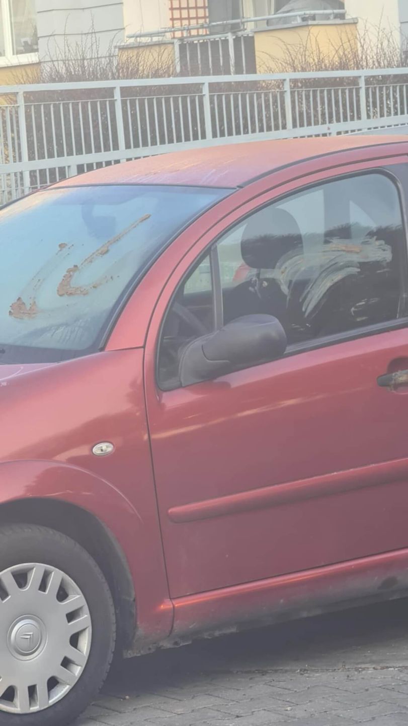 Szyby w aucie obsmarowane odchodami przy ul. Jaspisowej