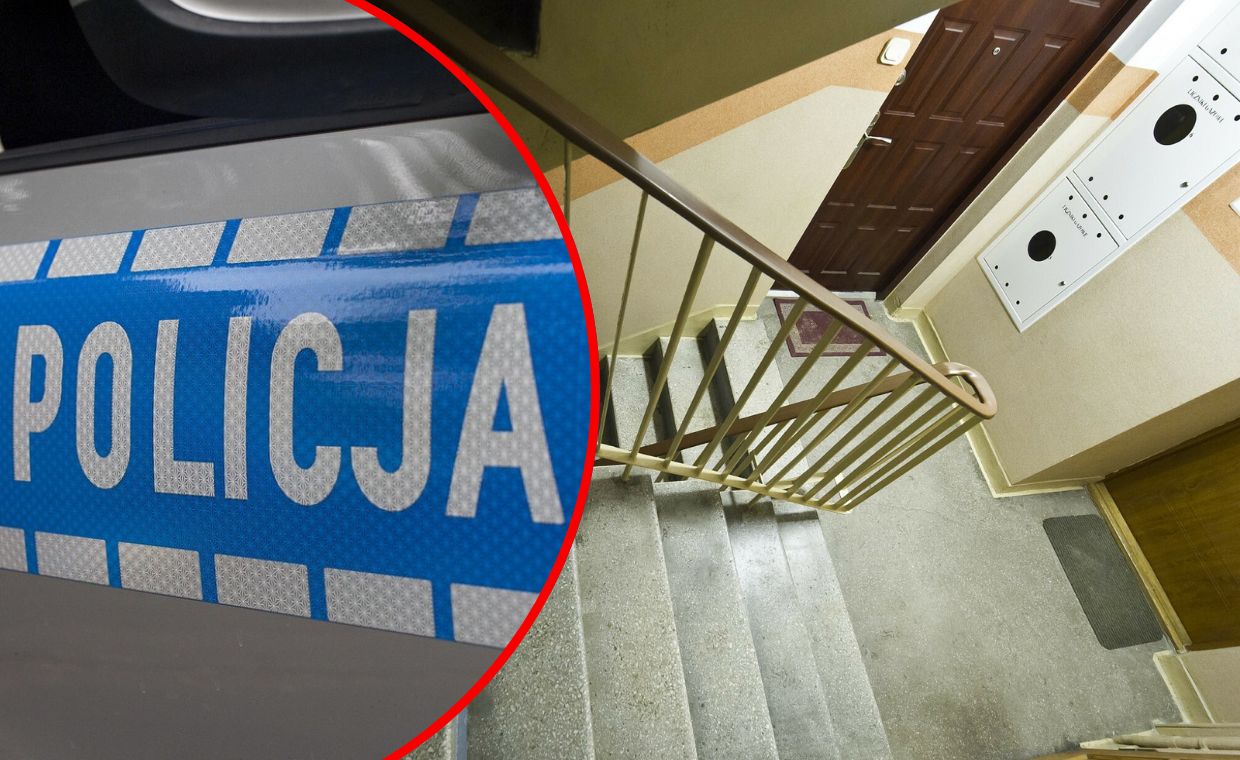 wiadomości,aktualności,WP Wiadomości Atak podczas egzekucji. Komornik z rozciętą twarzą