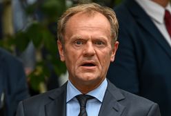 Franciszek Sterczewski o Donaldzie Tusku. Bogdan Zdrojewski poirytowany