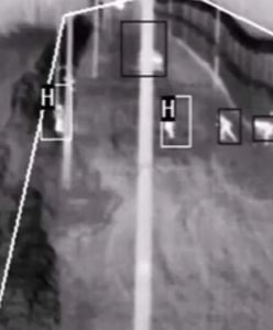 Pokonują barierę i przedostają się do Polski. Ujawniono dane z granicy