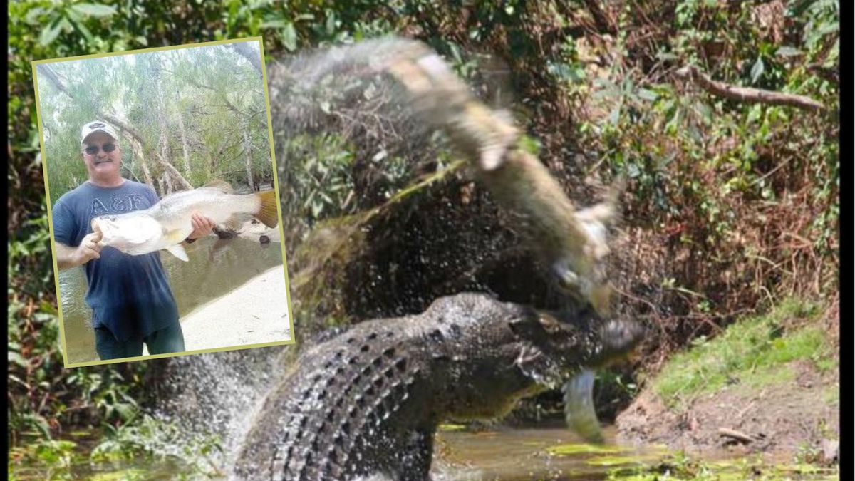 Kevin Darmody zginął porwany przez krokodyla