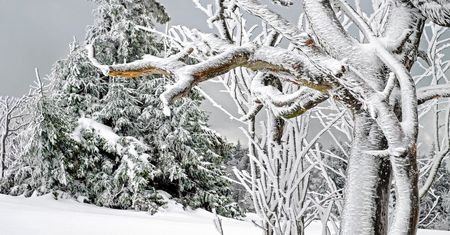 Koszmarne wieści pogodowe. Synoptycy zapowiadają śnieg i burze
