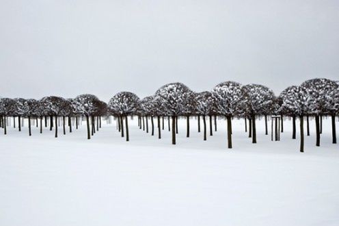 Wielki Konkurs Fotograficzny National Geographic zakończony - zobacz zdjęcia 2