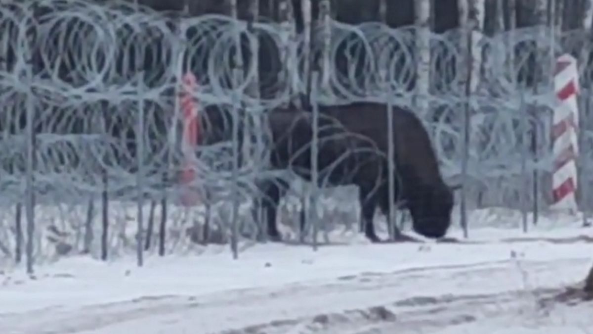 Screen z nagrania z miejsca zdarzenia