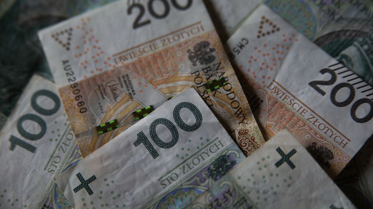 800 plus. Rodzice mogą składać już wnioski