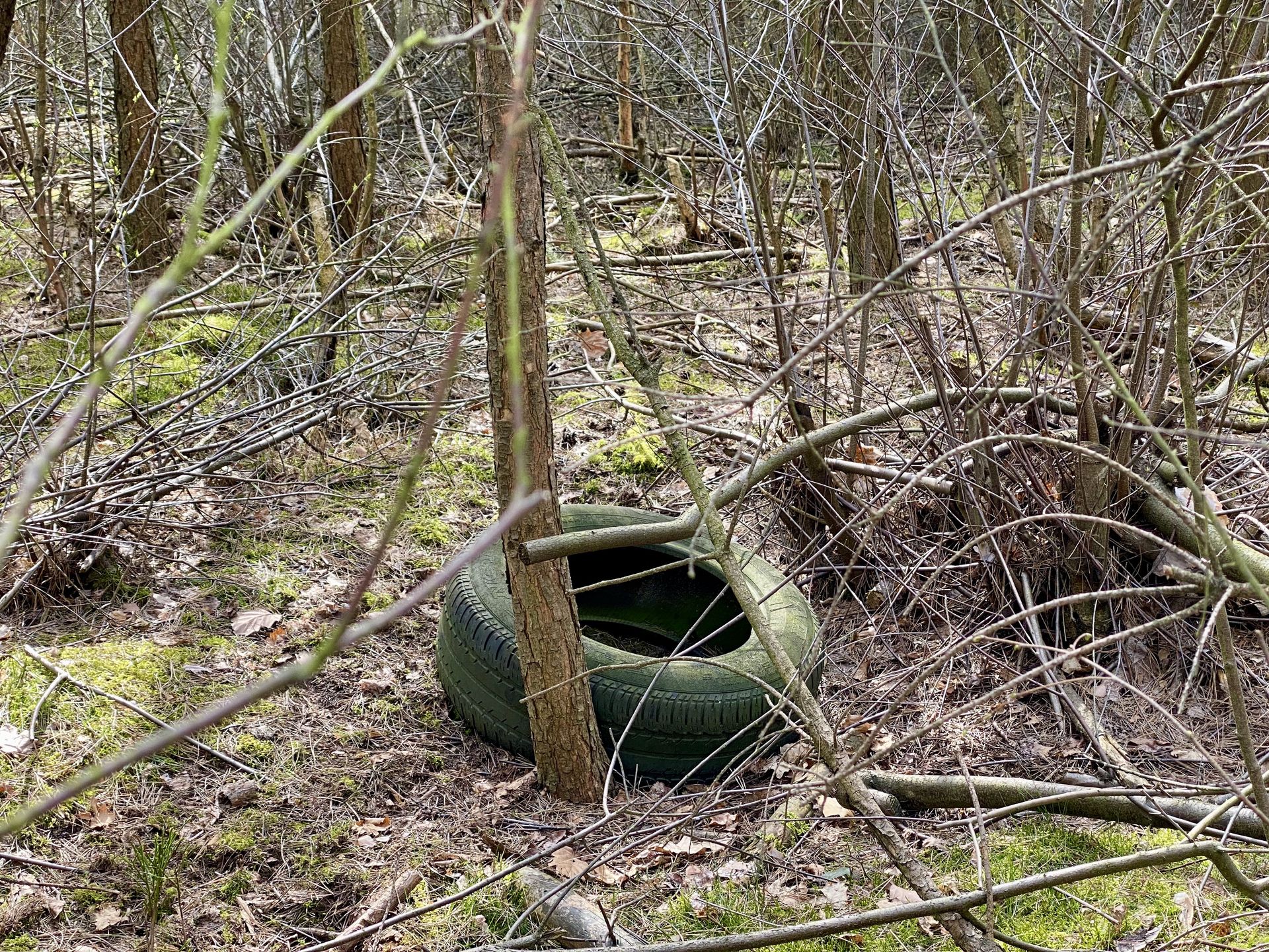 Zwierzę przez dwa lata żyło z ważącą 16 kg oponą na szyi