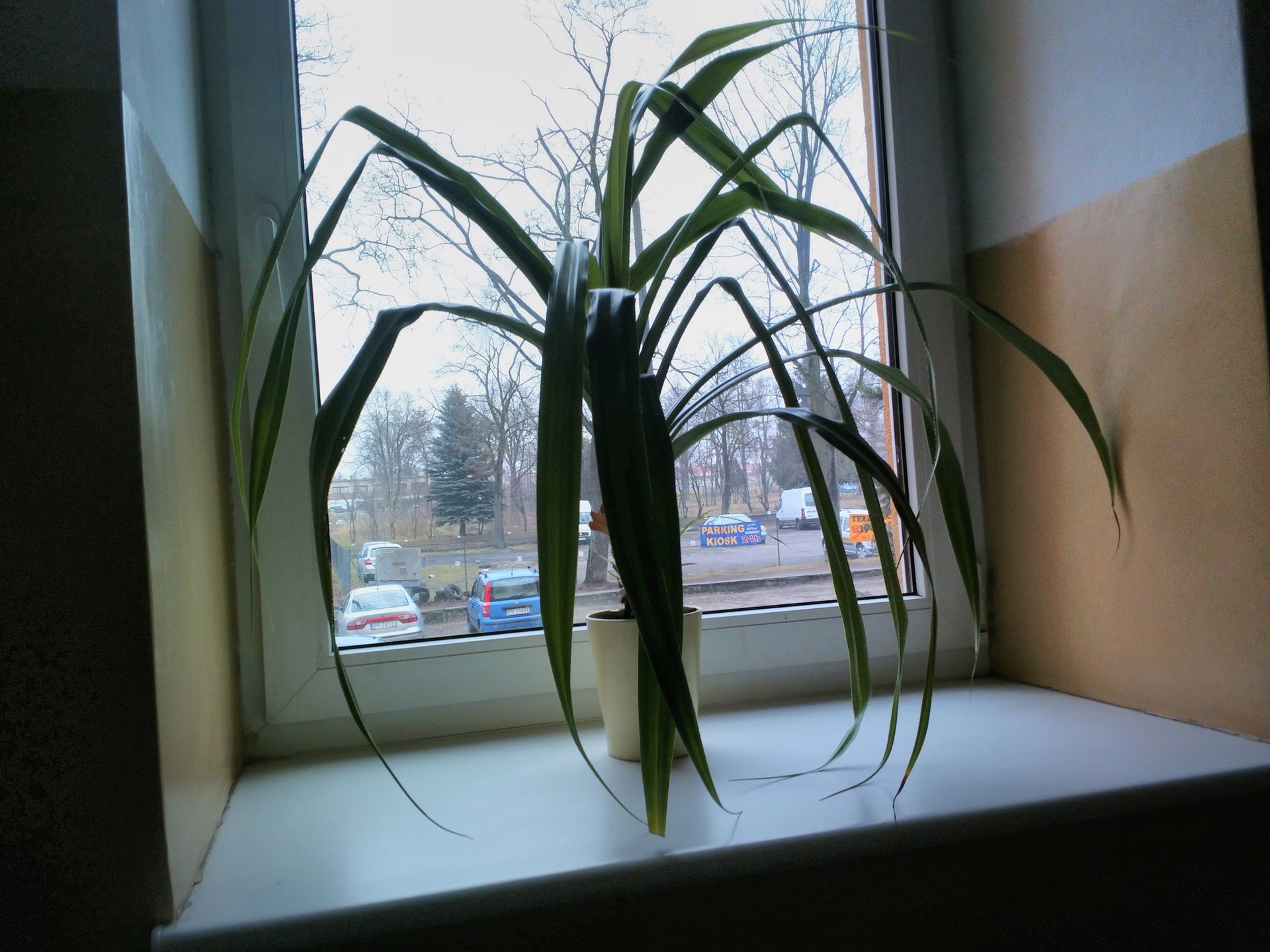 YotaPhone 2 - telefon o dwóch twarzach. Test i recenzja smartfona z ekranem E Ink 50