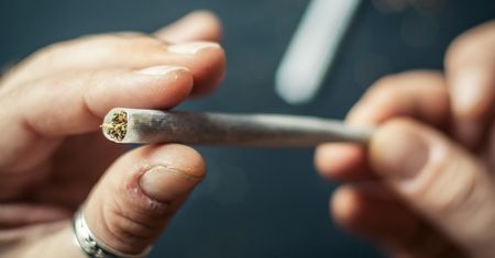 Haszysz – czym jest, jak działa i czym grozi?