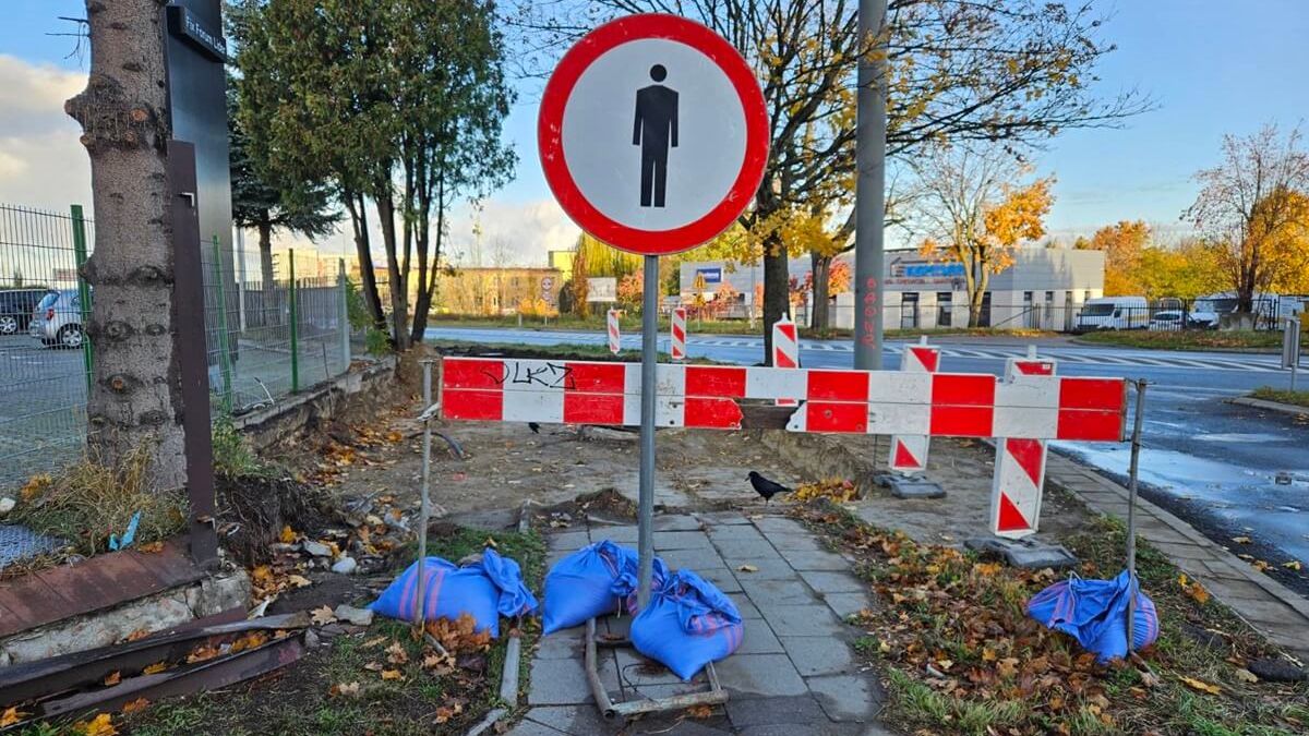 Budowa drogi rowerowej na ul. Nałęczowskiej