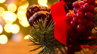 Jemioła w domu może być trująca. Uważaj na psy i koty