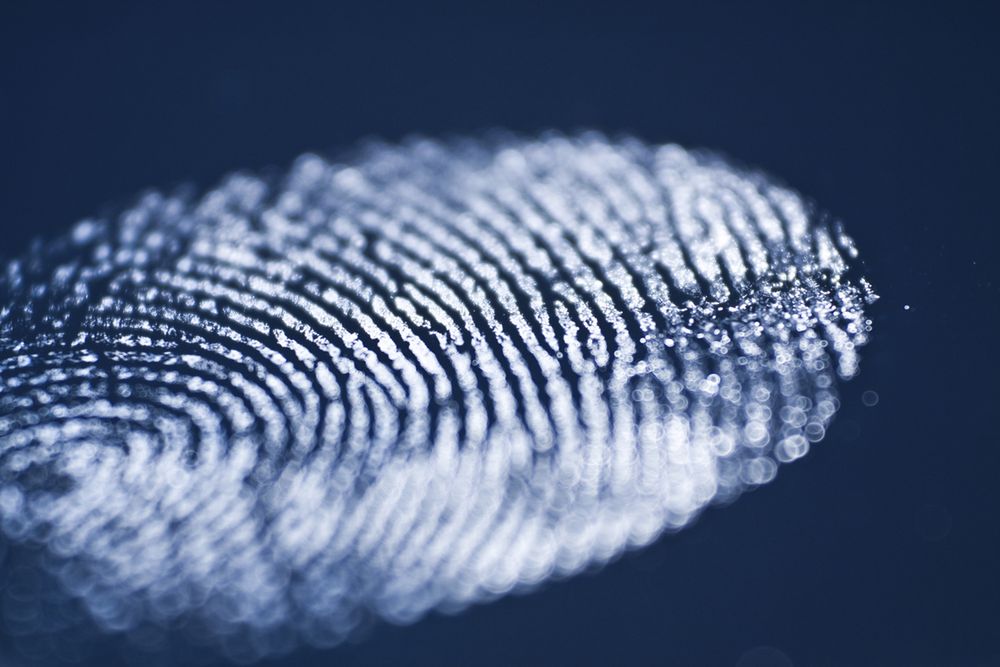 Zdjęcie blue fingerprint pochodzi z serwisu Shutterstock