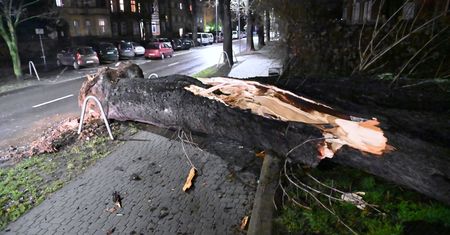 Tysiące interwencji i ofiara śmiertelna. Skutki wichur w Polsce