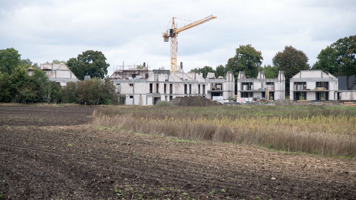 Działki znów drożeją. W Warszawie już prawie 1 mln zł (zdj. ilustracyjne)