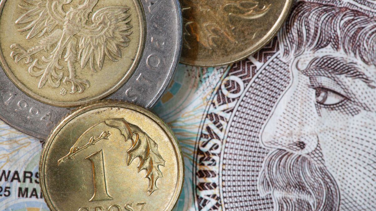 Wypłaty, jakie niektórzy polscy emeryci dostają z ZUS, potrafią zadziwić.