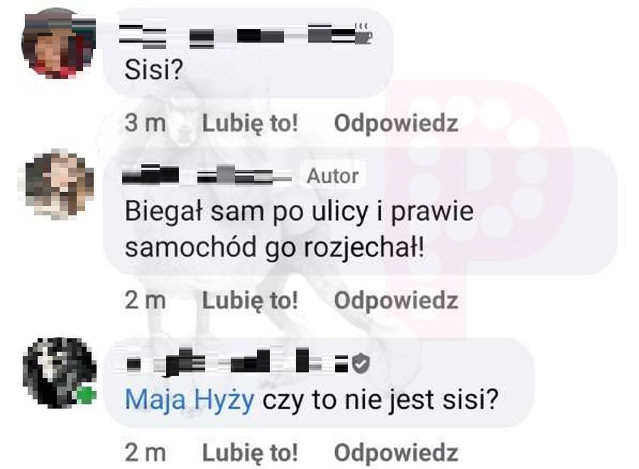 Sąsiedzi skarżą się na Maję Hyży
