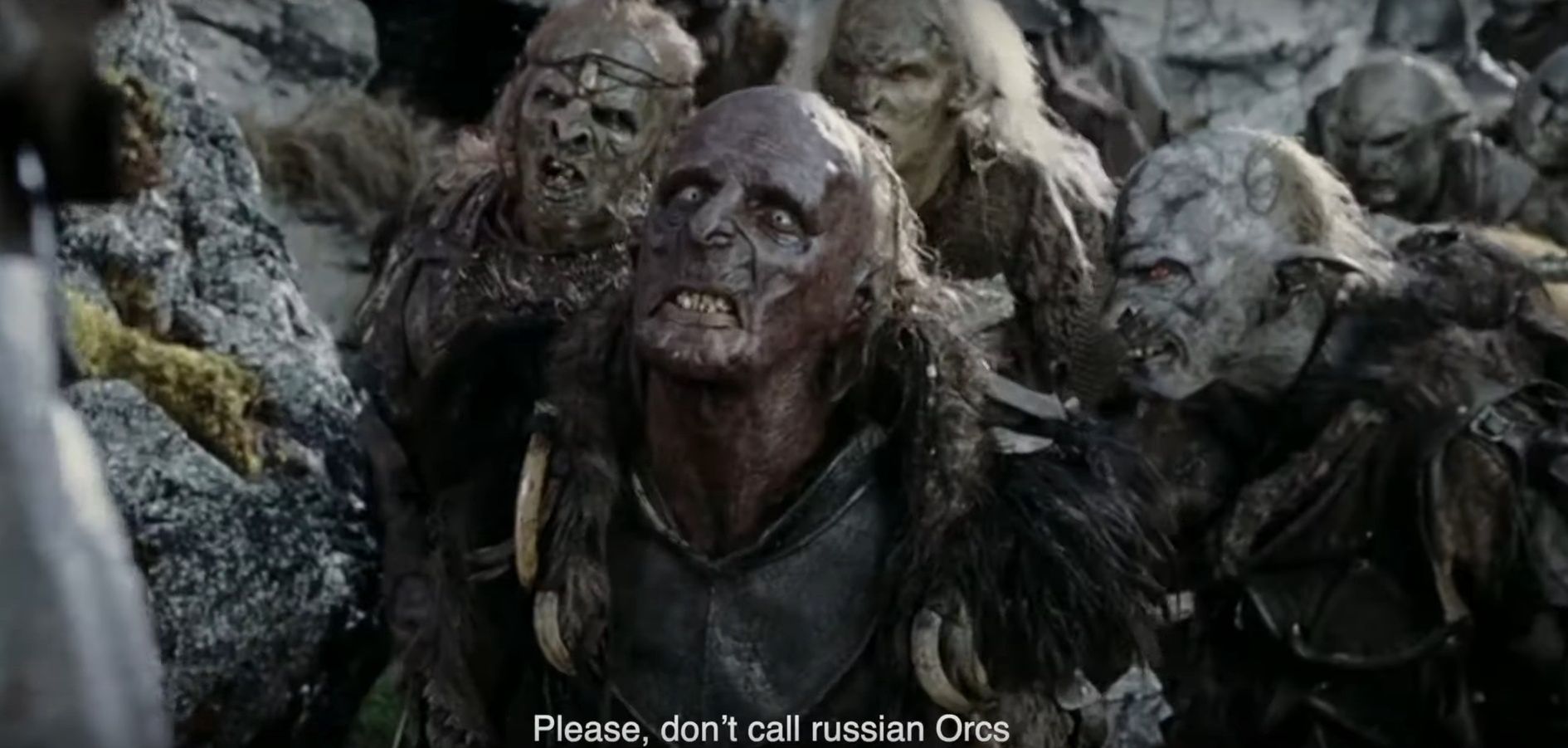 Reklama organizacji UAnimals