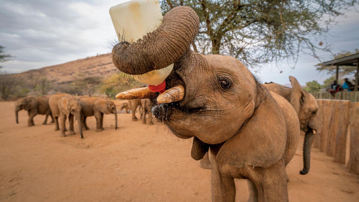 Zdjęcia roku 2021 magazynu National Geographic pokazują, jak zmienił się świat 1