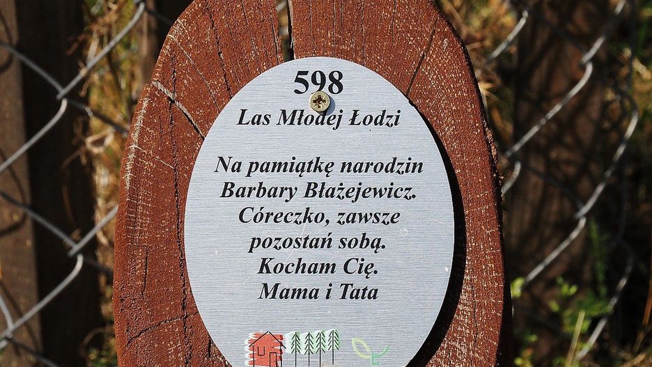 Las Młodej Łodzi na Lublinku przedstawia się tak