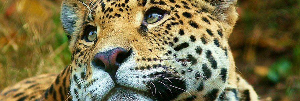 Co, poza pokojem na świecie, chciałbym dostać pod choinkę? 6