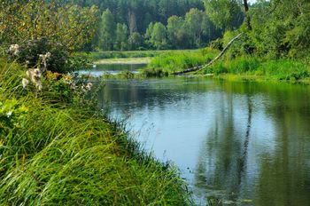 Koszą dno rzeki. "Mogą wystąpić utrudnienia"