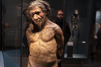 Neandertalczycy w Polsce. Przełomowe odkrycie w Jaskini Stajnia