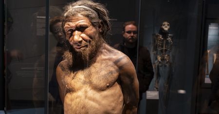 Neandertalczycy w Polsce. Przełomowe odkrycie w Jaskini Stajnia