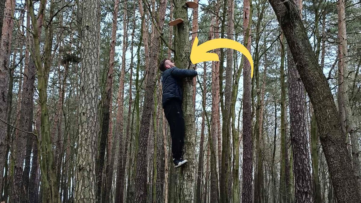 Wspinaczka po grzyby w lutym? Nietypowe zdjęcie z lasu