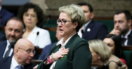 Spięcie Kłopotek-Braun w Sejmie. Poseł Konfederacji mówił o in vitro
