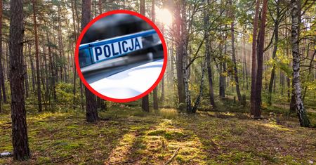 Rodzina poszła do lasu. Tragiczny finał. Służby znalazły ciało