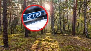 Rodzina poszła do lasu. Tragiczny finał. Służby znalazły ciało