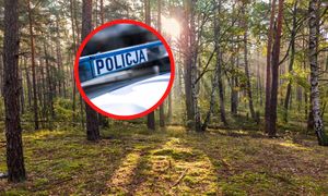 Rodzina poszła do lasu. Tragiczny finał. Służby znalazły ciało