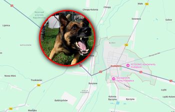 Mężczyzna zagryziony przez psy? Wątpliwości prokuratury