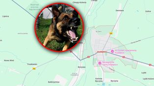 Mężczyzna zagryziony przez psy? Nieoficjalne: prokuratorzy mają wątpliwości